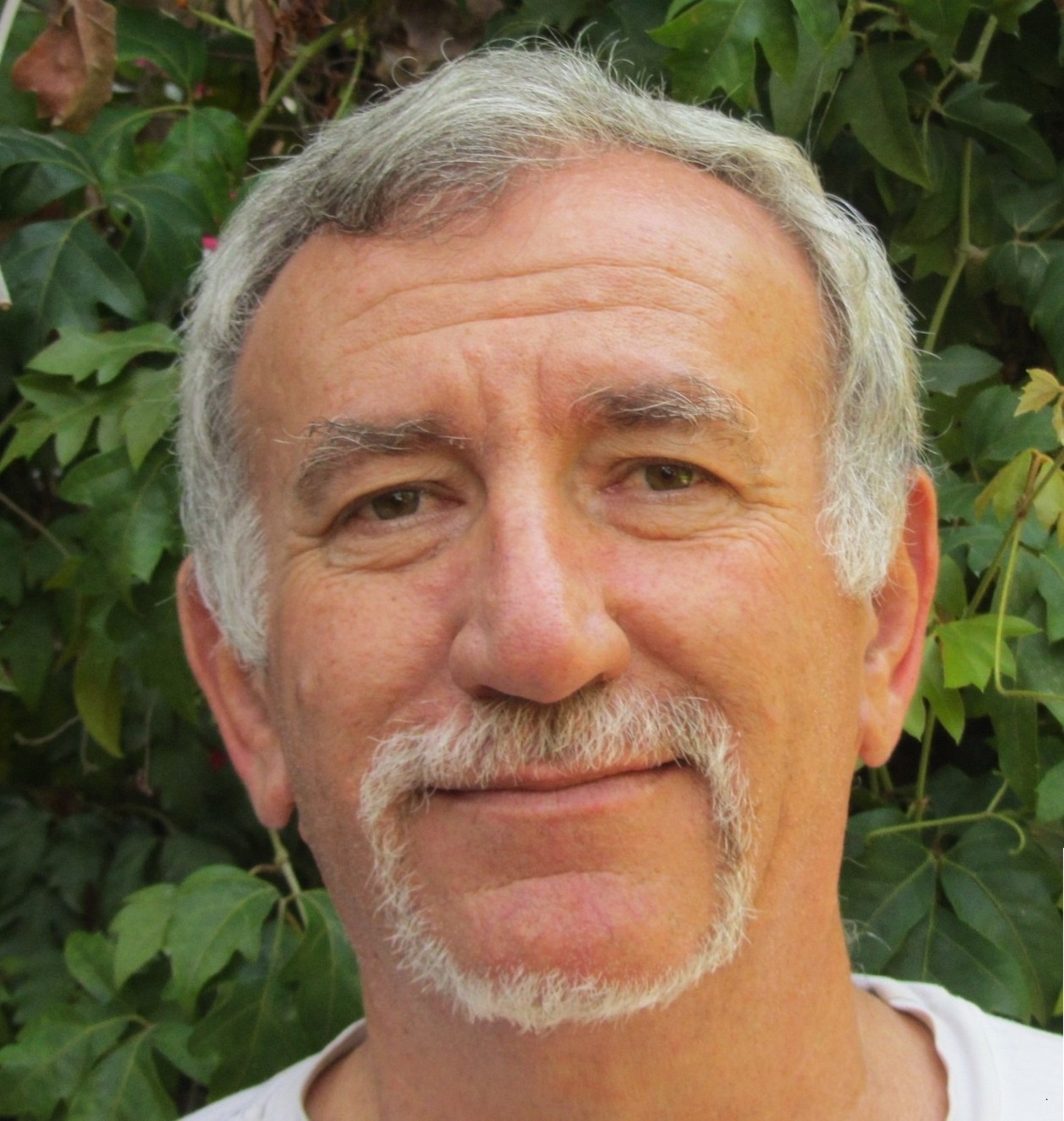 אלון ממליצים